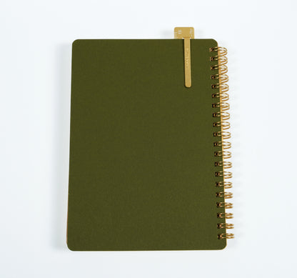 Hasarula Lineal mit Clip - 15cm