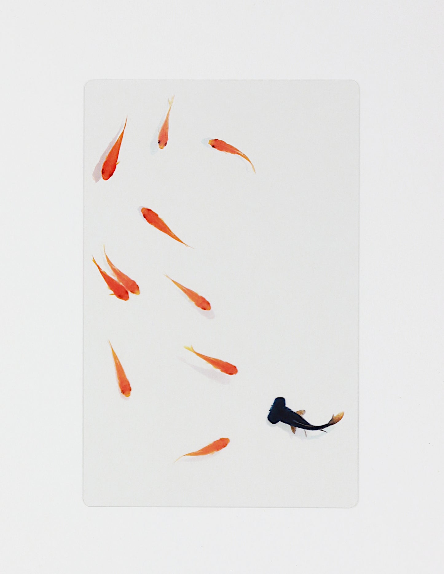 Transparent photo bookmark (Koaka and Demekin)